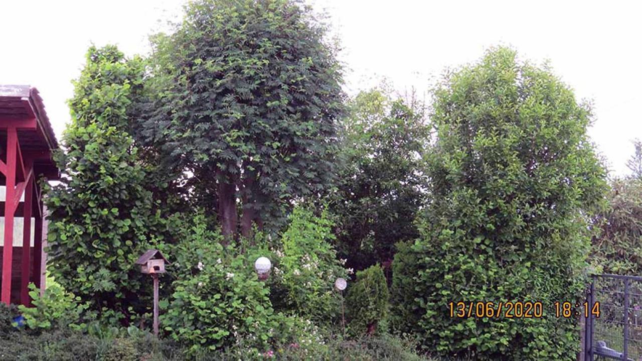 힐더스 Casa Roja 빌라 외부 사진